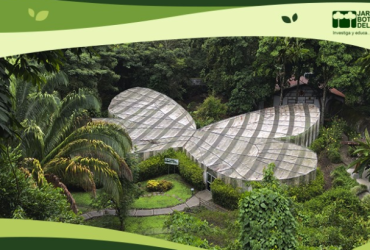 Jardín Botánico Del Quindío