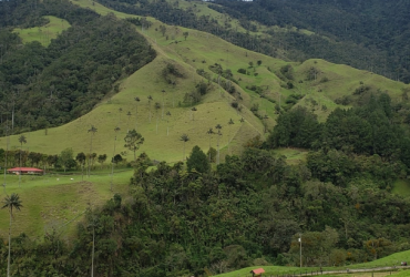 Travel On Go Colombia